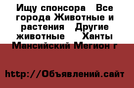 Ищу спонсора - Все города Животные и растения » Другие животные   . Ханты-Мансийский,Мегион г.